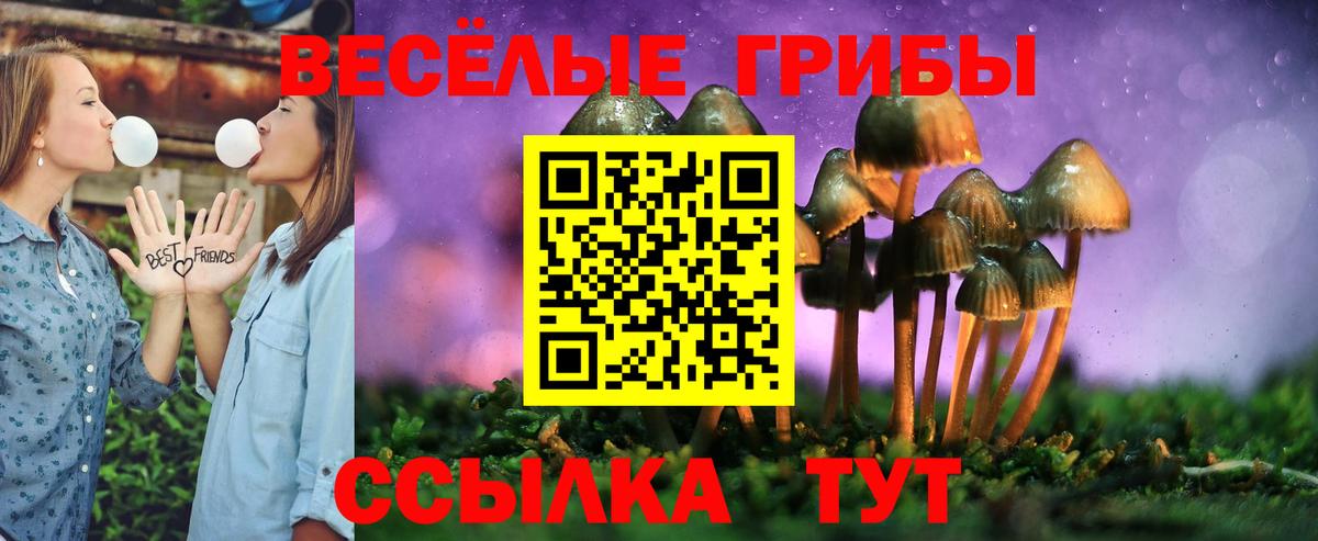 Аргун  Псилоцибиновые грибы мицелий  Вход с VPN 