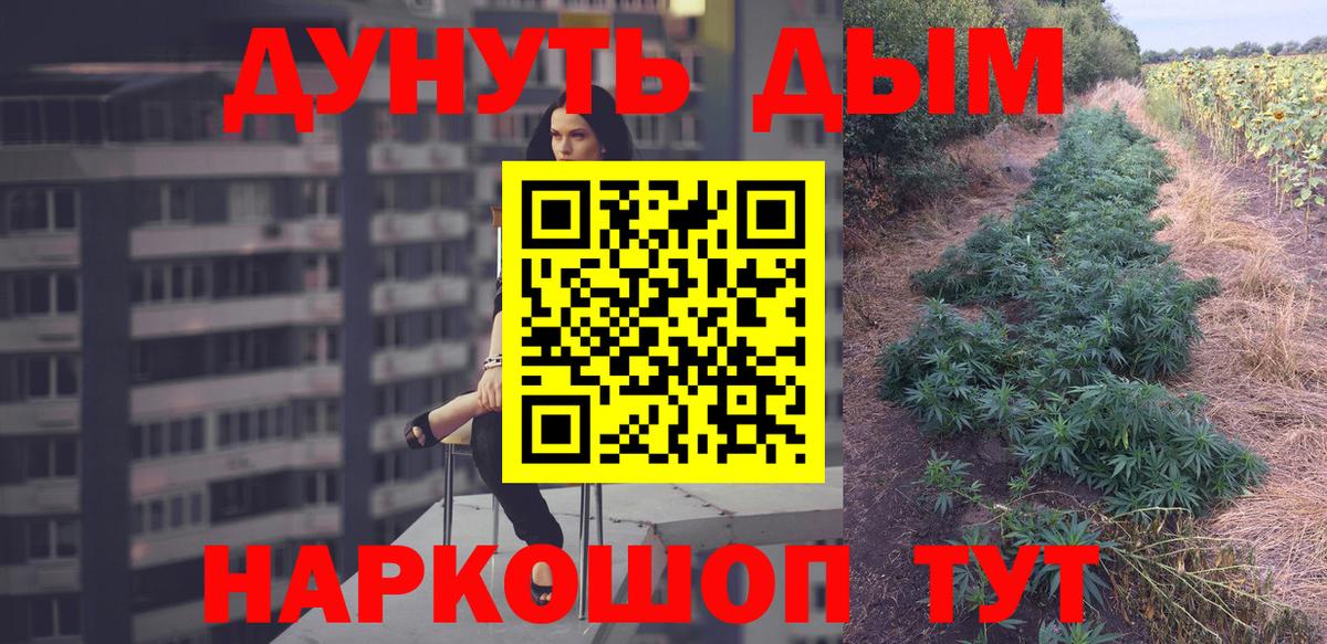 Каннабис планчик Аргун