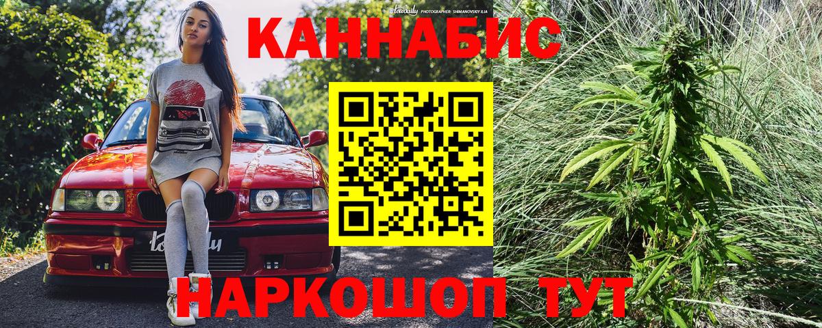 Аргун  Бошки марихуана семена  Вход с VPN  Марихуана THC 21% 